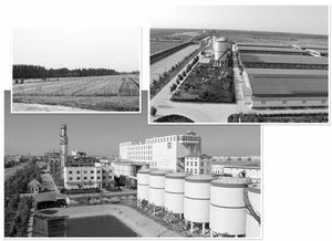 接二連三技術推廣助力中裕公司拉長產(chǎn)業(yè)鏈